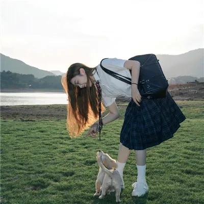狼拳